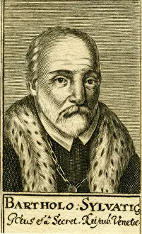Sylvaticus: Bartholo Sylvaticus