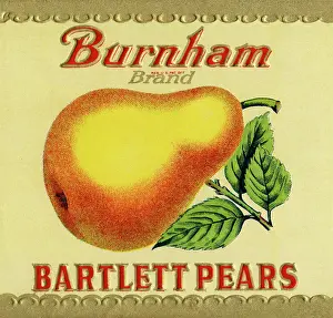 Pear: Bartlett Pear Label