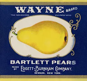 Pear: Bartlett Pear Label