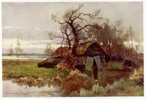 Broads: BARTON BROAD