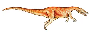Konopelko: Baryonyx