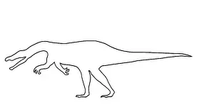 Baryonyx: Baryonyx