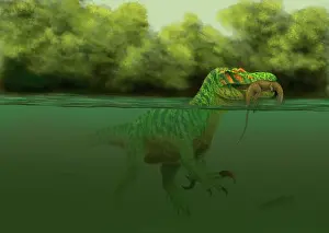 Suchomimus: A Baryonyx escapes swimming from a brawl with a ?