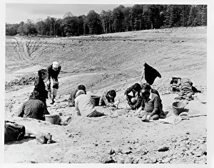 Baryonyx: Baryonyx excavation, 1983