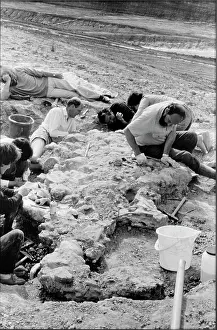 Baryonyx: Baryonyx excavation, 1983