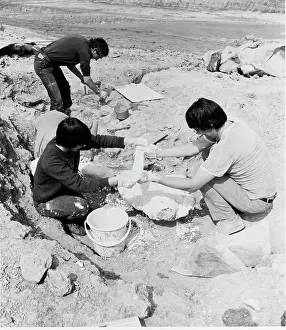 Baryonyx: Baryonyx excavation, 1983