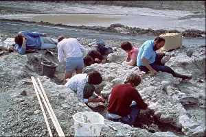 Discovering: Baryonyx excavations