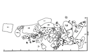 Baryonyx: Baryonyx fossil remains