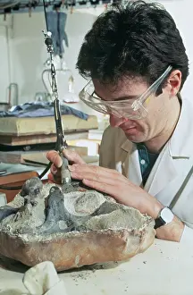 Baryonyx: Baryonyx laboratory work, 1983