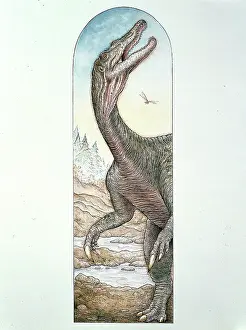 Baryonyx: Baryonyx walkeri