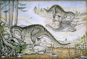 Baryonyx: Baryonyx walkeri