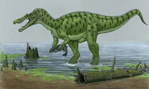 Suchomimus: A Baryonyx walkeri dinosaur catches a fish