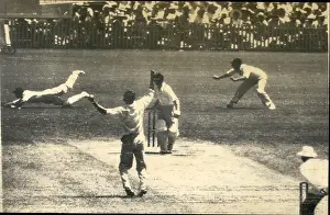 Dives: Baseball to be Categorized - Baseball Cards