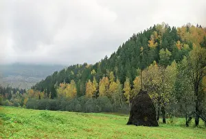 Bashkiria: Bashkir autumn, 1999