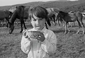 Bashkiriya: Bashkir koumiss