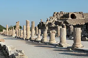 Ephesian: Basilica, Ephesus, Izmir, Turkey