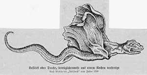 Gesner: Basilisk