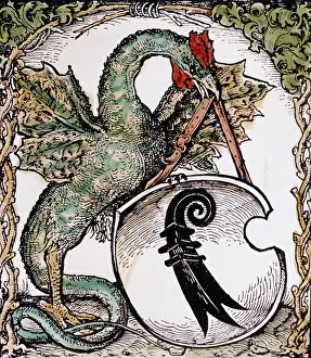 Cocks: Basilisk as supporter