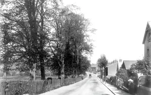 Basingstoke: Basingstoke, Sarum Hill c1900