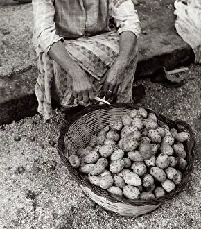 Figs: Basket of figs