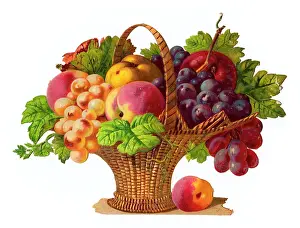 Nectarine: Basket of fruit on a Victorian scrap