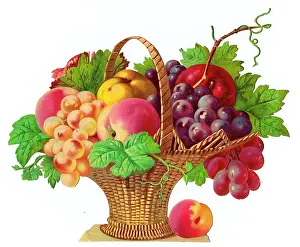 Nectarine: Basket of fruit on a Victorian scrap