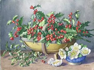 Sprigs: Basket of Holly, mistletoe and Christmas roses