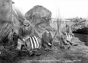 Baskets: Basket Making, Gawley's Gate. Loch Neagh