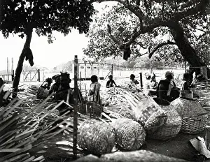 Madras: Basket making in Madras