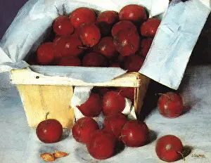 Plum: Basket of Red Plums
