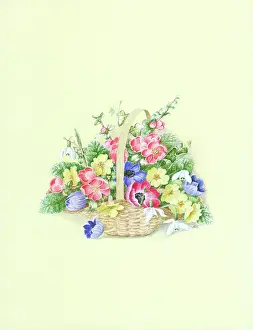 Primroses: Basket of spring flowers including anemones
