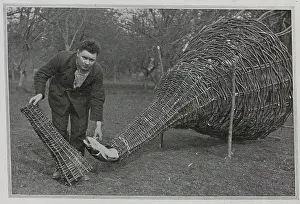 Trapping: Basket Trap for Salmon