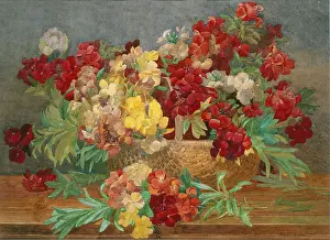 Wallflowers: A Basket of Wallflowers