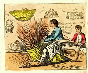 Osier: Basket weaver at work