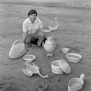Chicken: Basket weaving
