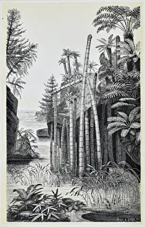 Buri: Basle during the Keuper Period (Middle to Upper Triassic)