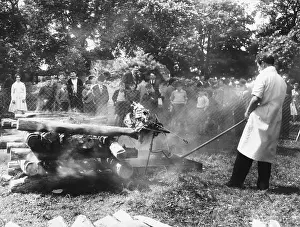 Roasts: BASTING THE RAM