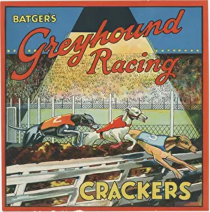 Batgers Greyhound Racing crackers