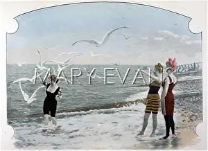 Oiseaux: Bathing Beauties 1895
