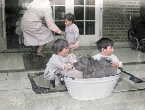 Atcolourisedpic: BATHING THE DOG