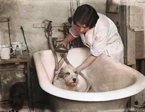 Thecolourisedpic: Bathing a Dog