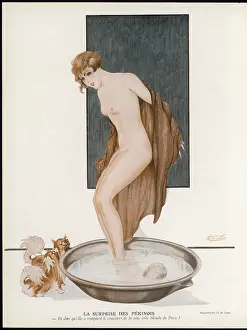 Lapdogs: BATHING WITH DOGS 1929