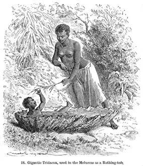 Moluccas: BATHING/MOLUCCAS C1890