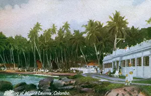 Bather: Bathing at Mount Lavinia, Ceylon (Sri Lanka)