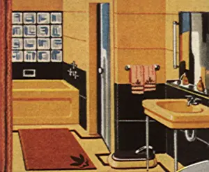Households: Bathroom