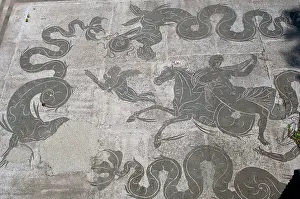 Hippocampus: Baths of Neptune. Mosaic. Ostia Antica