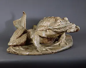 Enamelled: Batrachian or frog with a fish tail