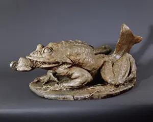 Enamelled: Batrachian or frog with a fish tail