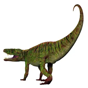 Archosaur: Batrachotomus dinosaur tail