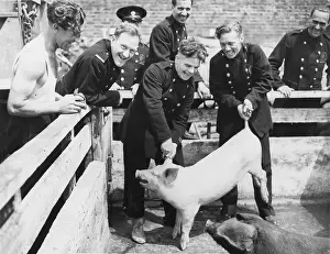 Battersea: Battersea firemen WWII
